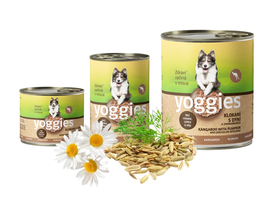 Monoprotein KENGERU med gresskar og jordskokk - våtfôr YOGGIES hund