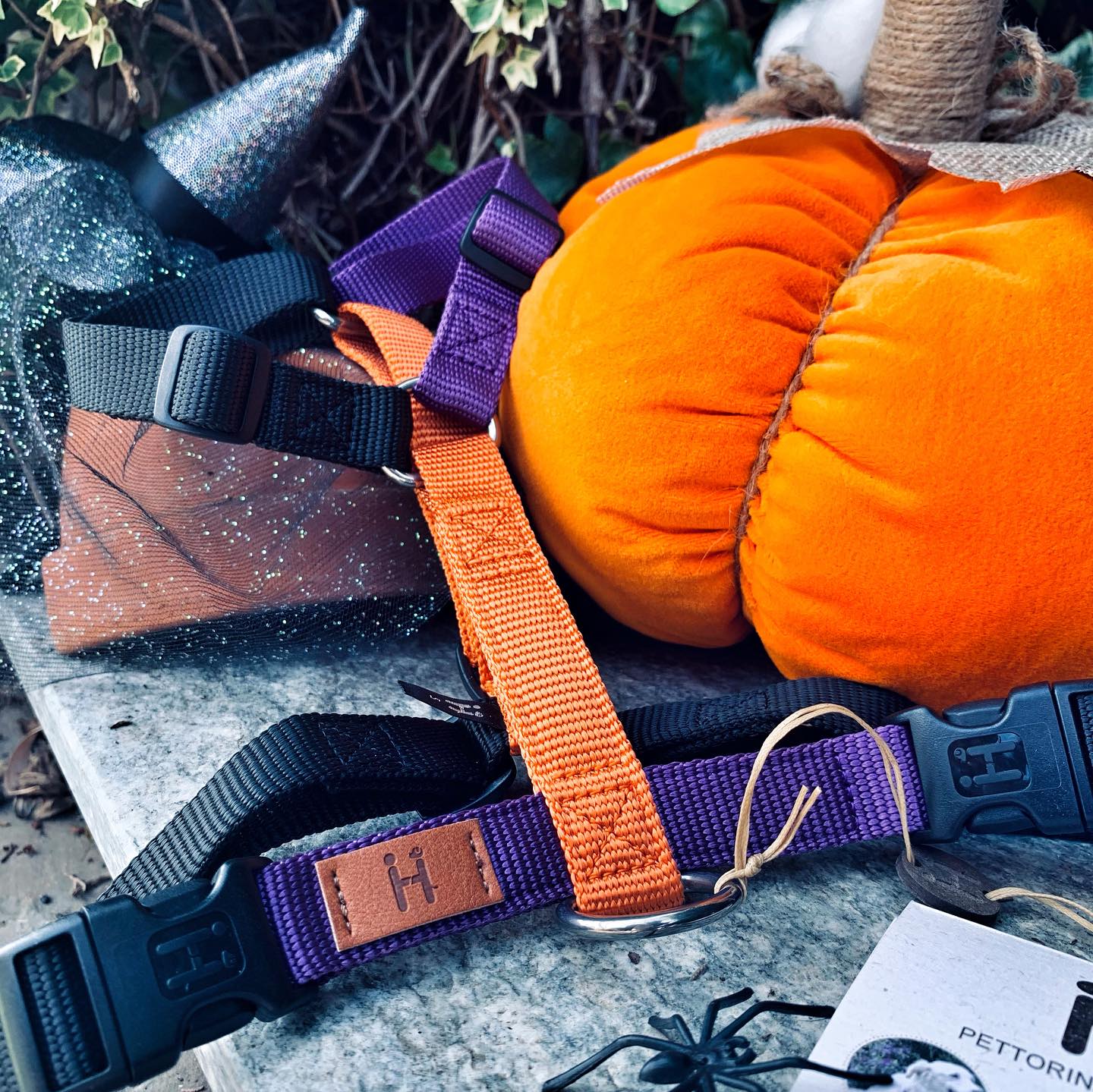 Haqihana justerbar H-sele HALLOWEEN - Limited edition
