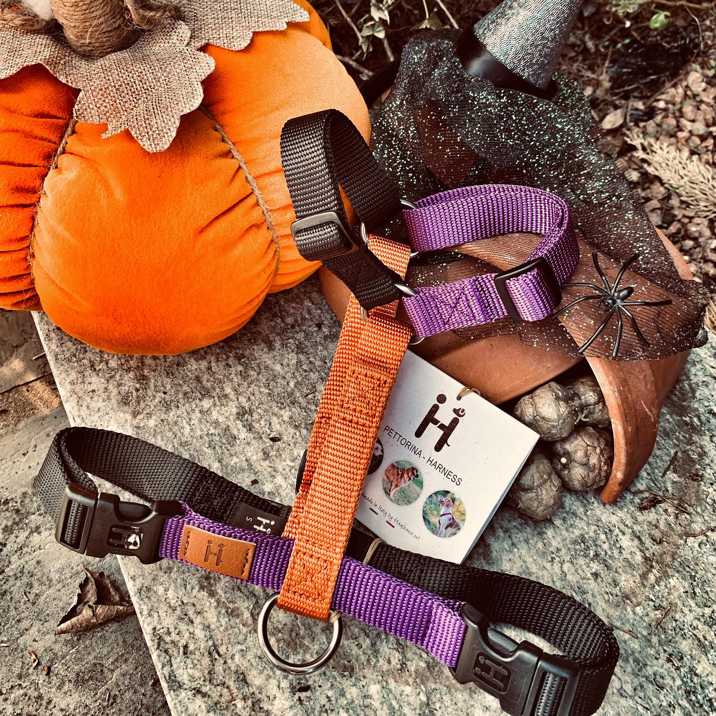 Haqihana justerbar H-sele HALLOWEEN - Limited edition
