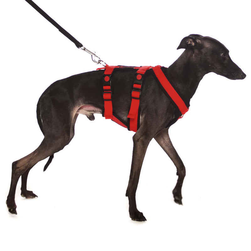 Y-sele SMALL DOBBEL