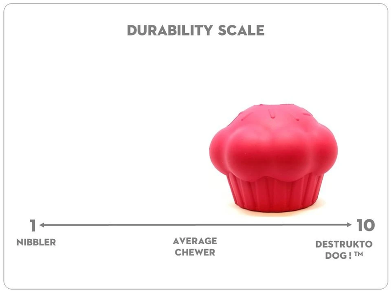 CUPCAKE Activity Toy