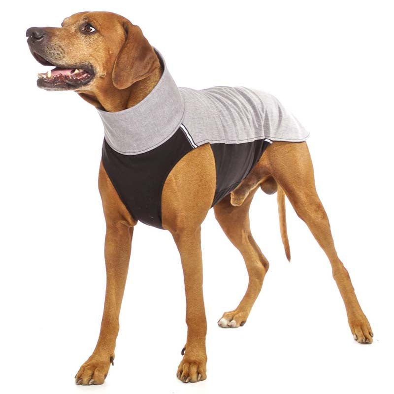 Hachiko RR vest rhodesian ridgeback (453392269340)