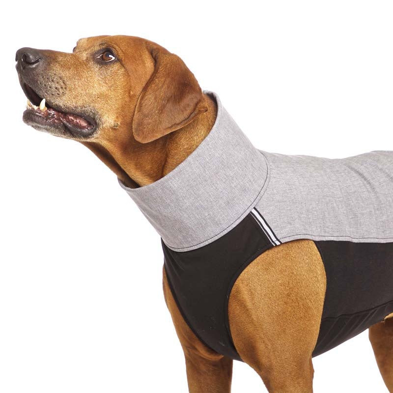 Hachiko RR vest rhodesian ridgeback (453392269340)