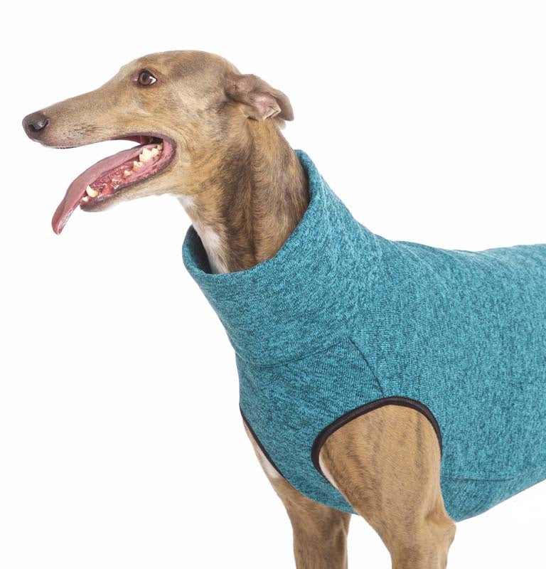 HACHIKO jumper 02 (393734094876)