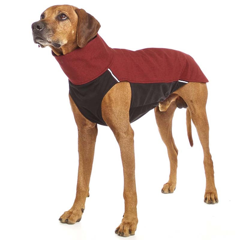 Hachiko RR vest rhodesian ridgeback (453392269340)