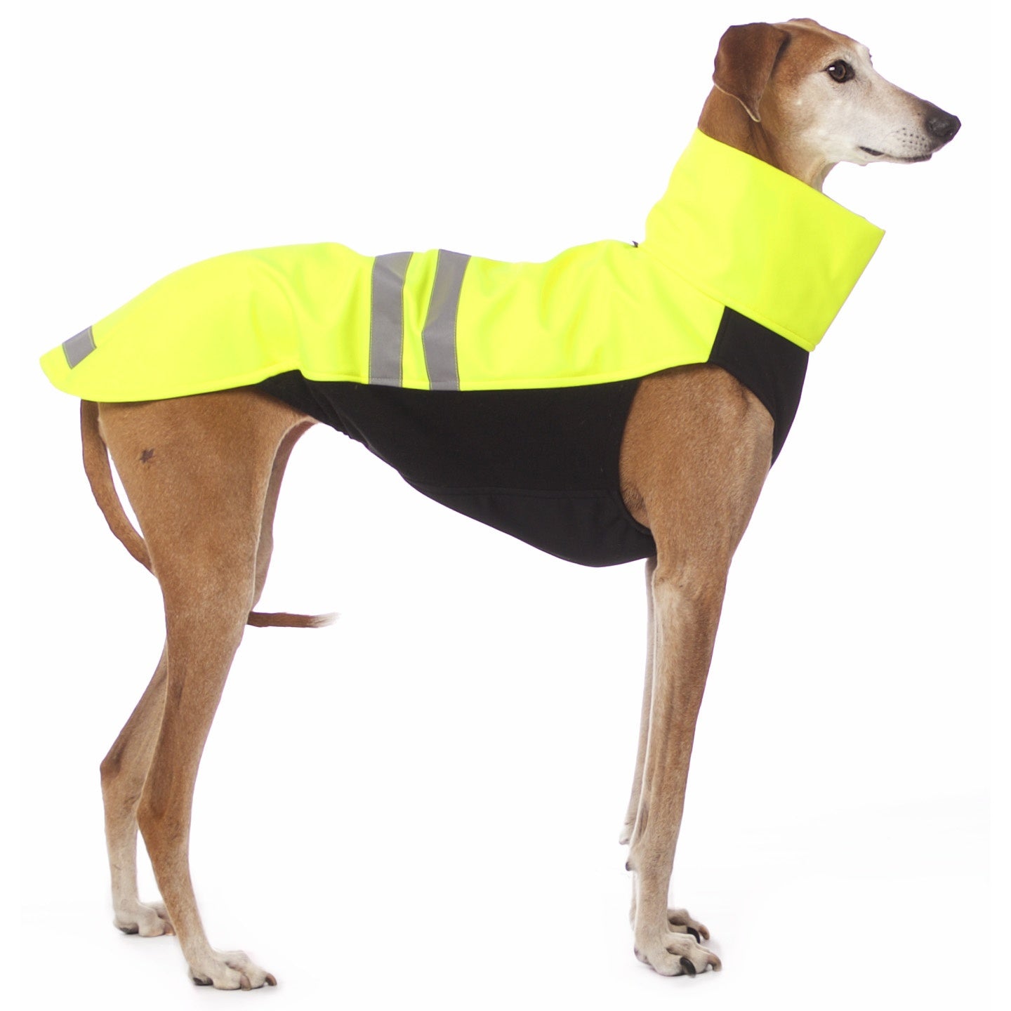 HACHIKO vest NEON