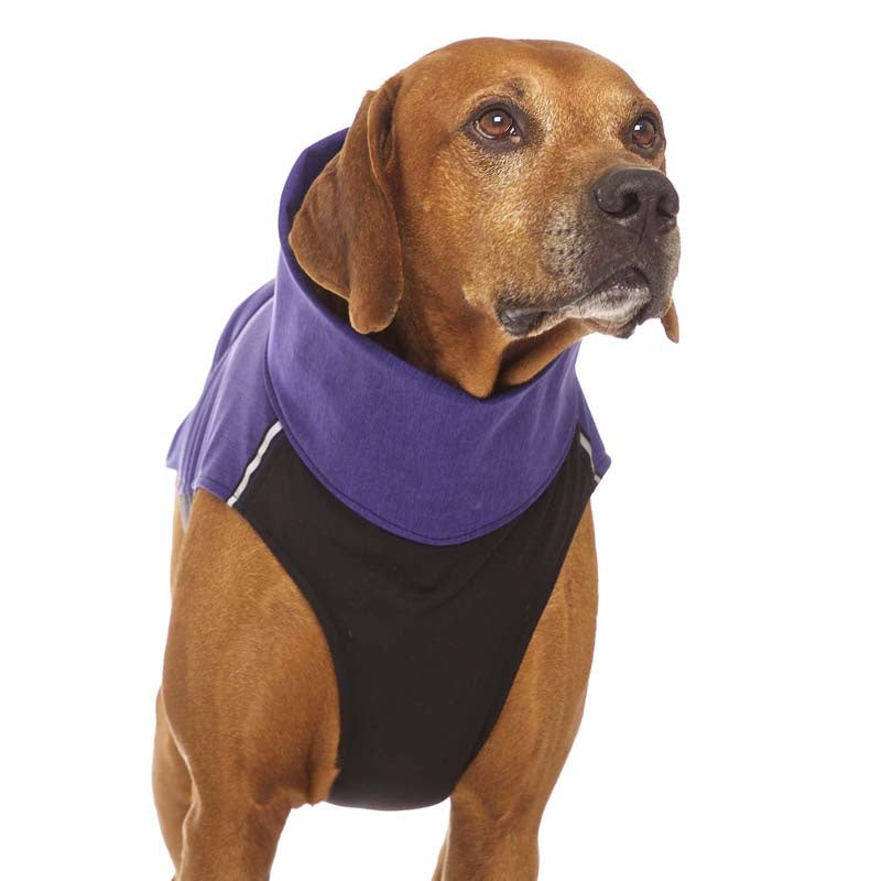 Hachiko RR vest rhodesian ridgeback (453392269340)