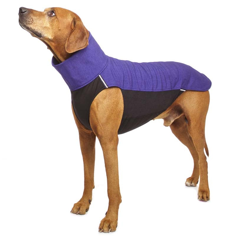 Hachiko RR vest rhodesian ridgeback (453392269340)