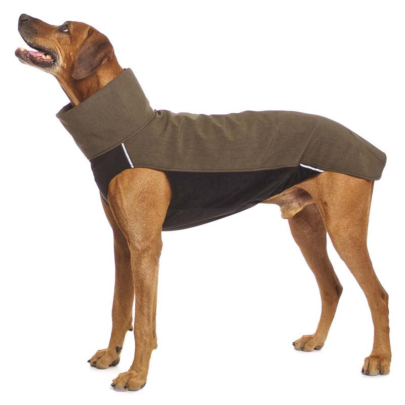 Hachiko RR vest rhodesian ridgeback (453392269340)