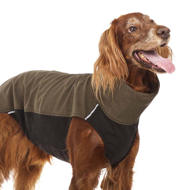 Hachiko RR vest rhodesian ridgeback (453392269340)