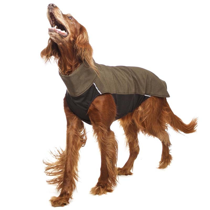 Hachiko RR vest rhodesian ridgeback (453392269340)