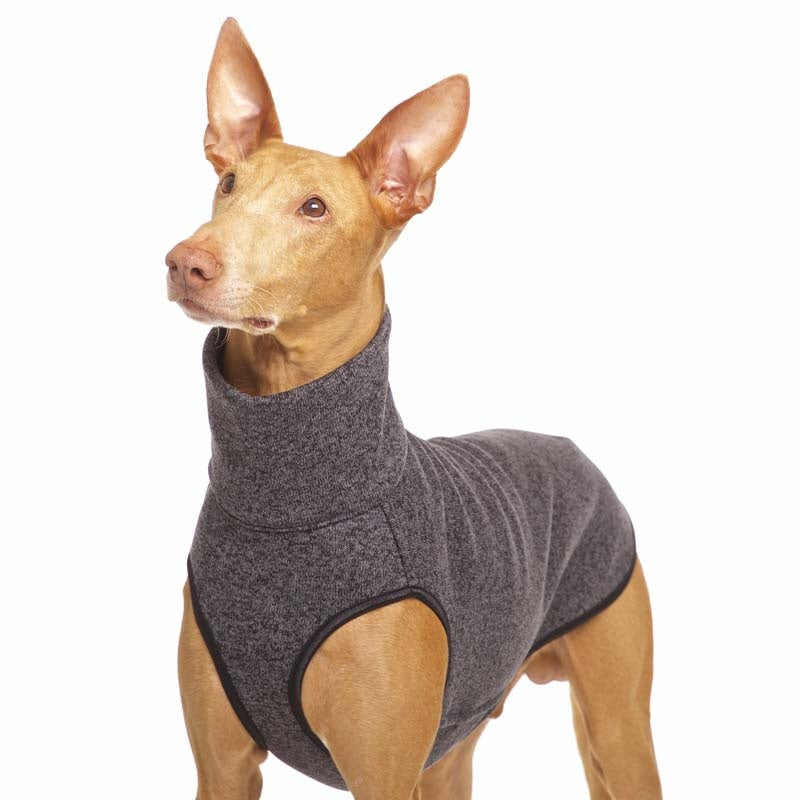 HACHIKO jumper 02 (393734094876)