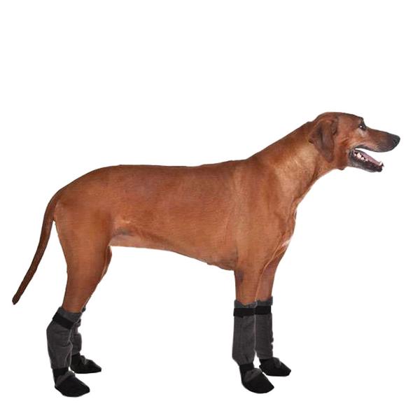 Potesokker rhodesian ridgeback (696580014108)